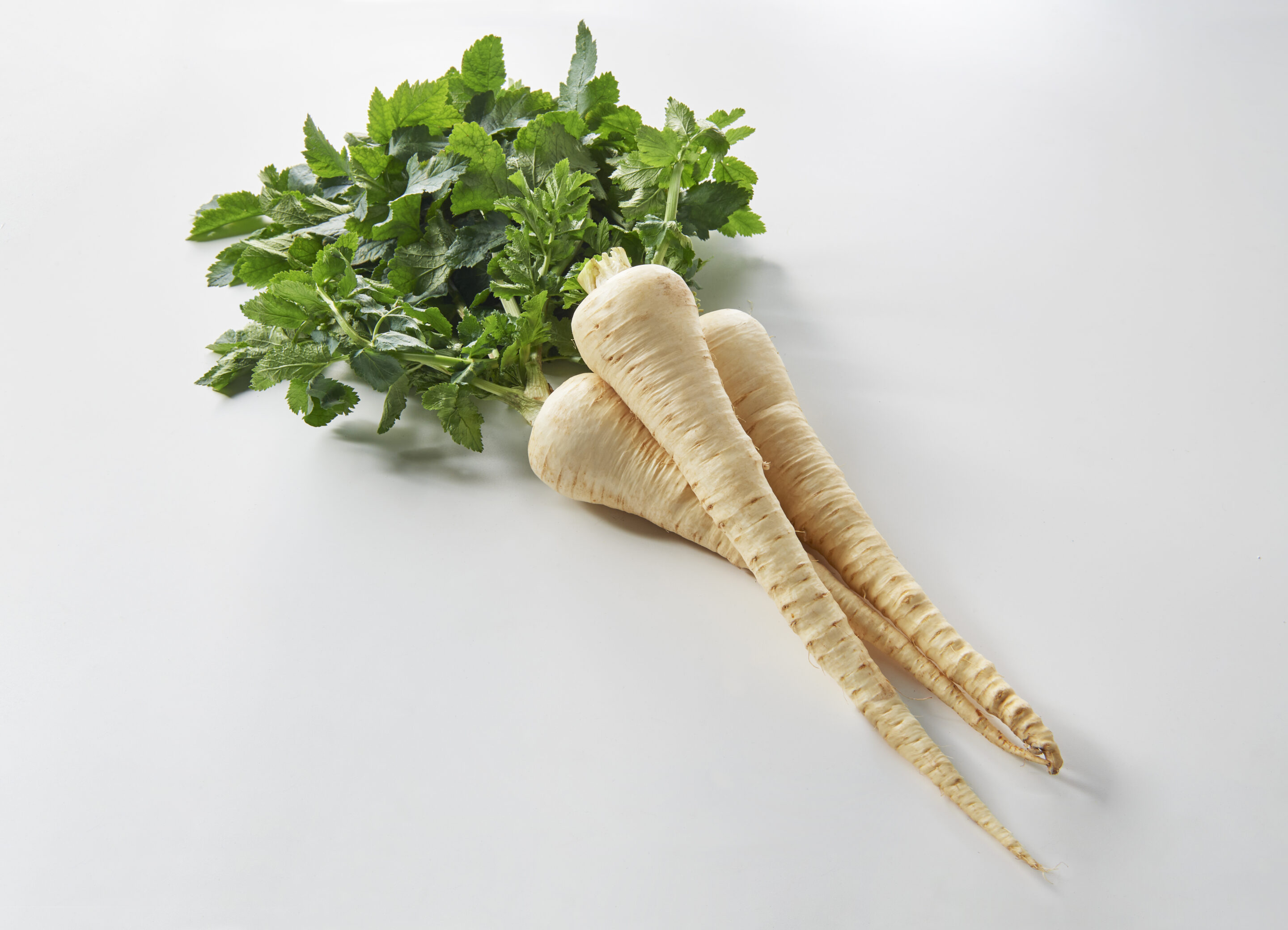 パースニップ