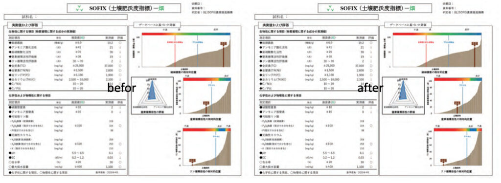 土壌診断結果