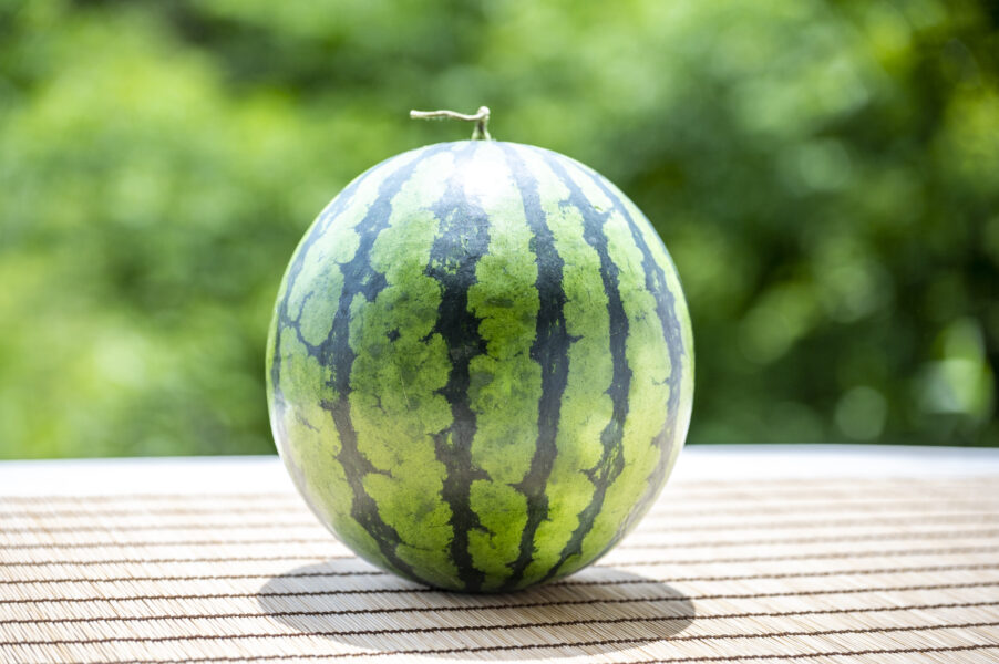 すいか