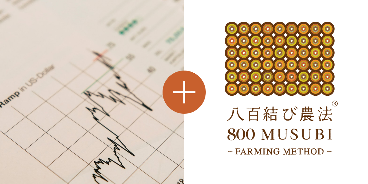 初期土壌分析 / 診断