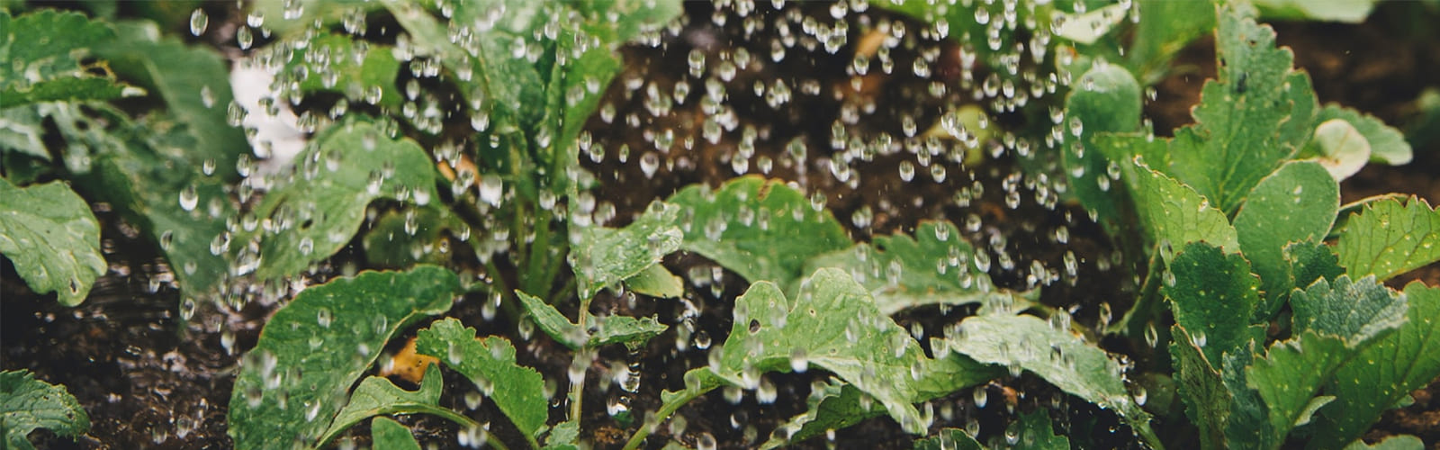 実証実験 レポート